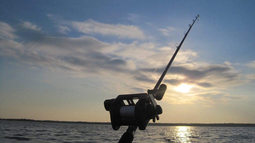 morning fish