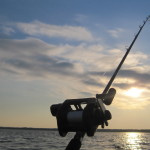 morning fish